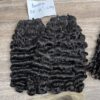 Burmese curly 1