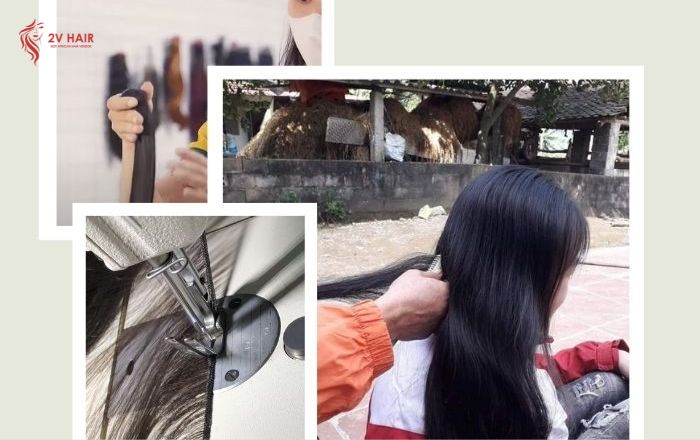 The meticulous collecting, sorting, and cleaning process contribute to the quality of Vietnam bone straight hair