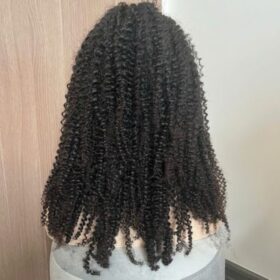 Human Hair Wigs Kinky Curly 14